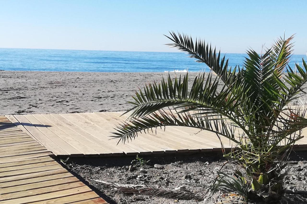 莫切Atico De Albaida Duplex Frente Al Mar公寓 外观 照片